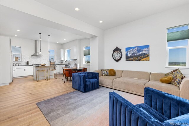 living room featuring plenty of natural light, light hardwood / wood-style floors, and sink