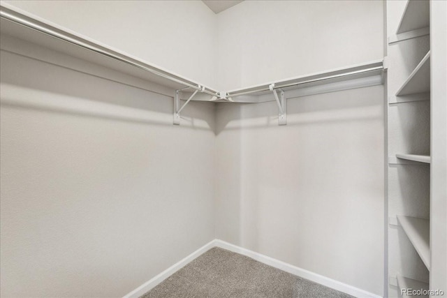 15492 W 65th Ave Unit C, Arvada, CO 80007 - walk in closet featuring carpet