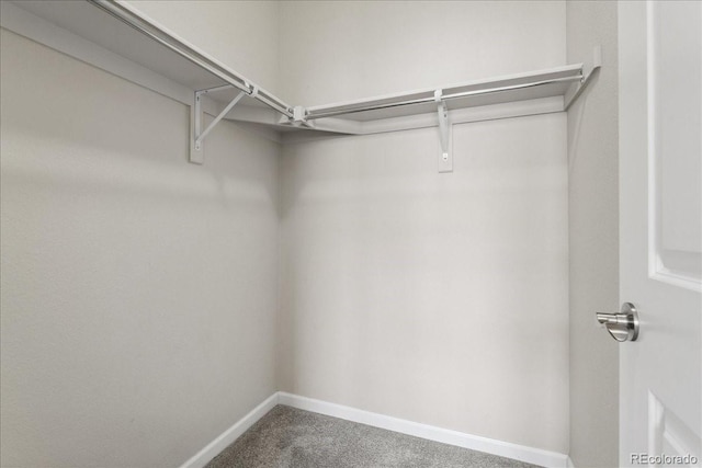 15492 W 65th Ave Unit C, Arvada, CO 80007 - walk in closet with carpet