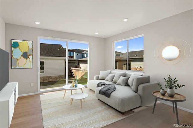 living room with light wood-type flooring