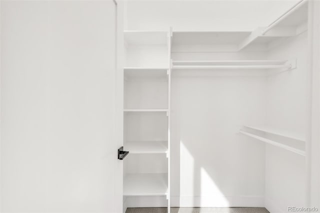 view of walk in closet