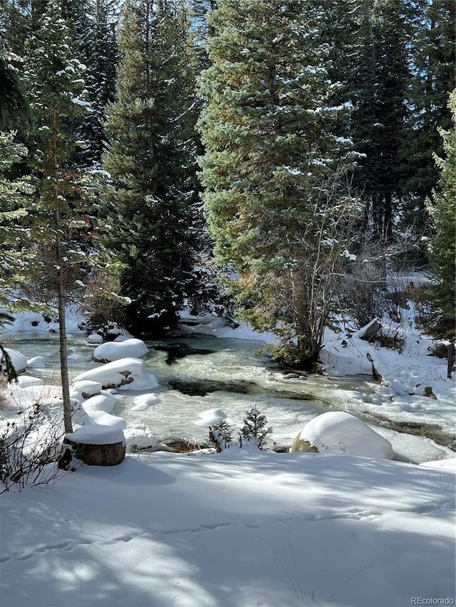 145 Arapahoe Rd Unit 102, Winter Park, CO 80482 - view of yard covered in snow