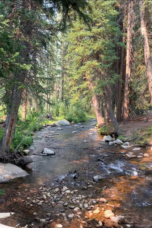 145 Arapahoe Rd Unit 102, Winter Park, CO 80482 - view of woods