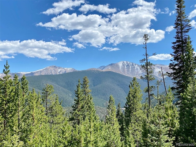 145 Arapahoe Rd Unit 102, Winter Park, CO 80482 - mountain view featuring a forest