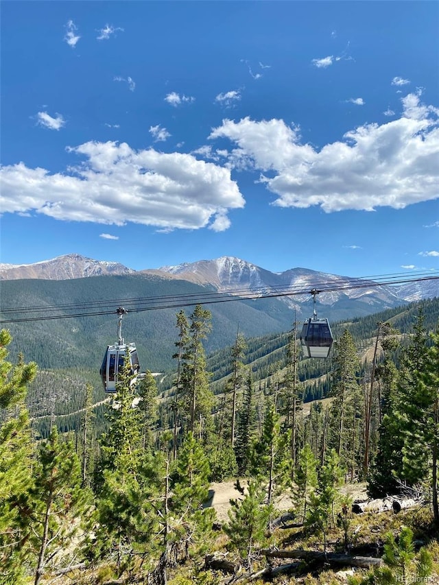 145 Arapahoe Rd Unit 102, Winter Park, CO 80482 - view of mountain background with a forest