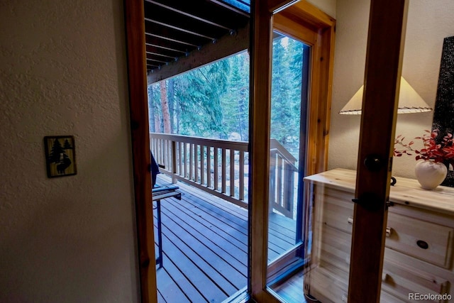 145 Arapahoe Rd Unit 102, Winter Park, CO 80482 - entryway featuring a textured wall and plenty of natural light