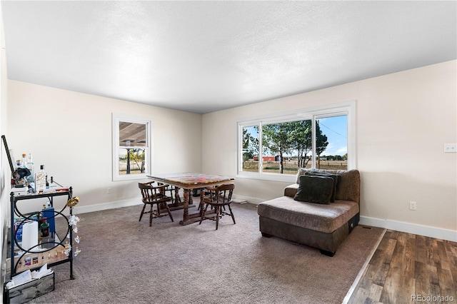 54686 E Bobcat Ln, Strasburg, CO 80136 - photo 8
