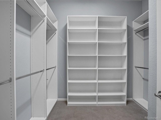 walk in closet featuring carpet