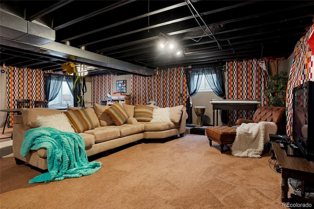 2061 Chesapeake Pl, Highlands Ranch, CO 80126 - cinema featuring carpet