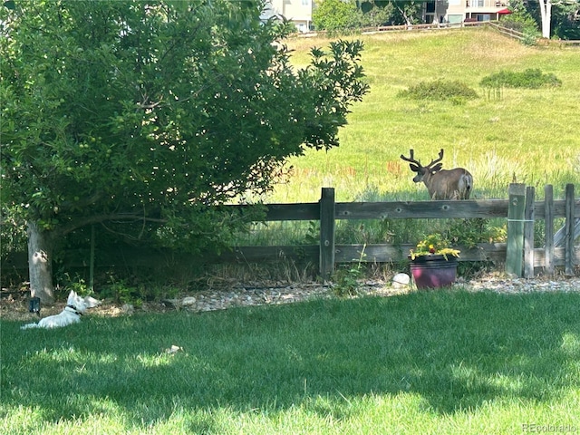 2061 Chesapeake Pl, Highlands Ranch, CO 80126 - view of yard