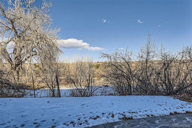 view of yard covered in snow