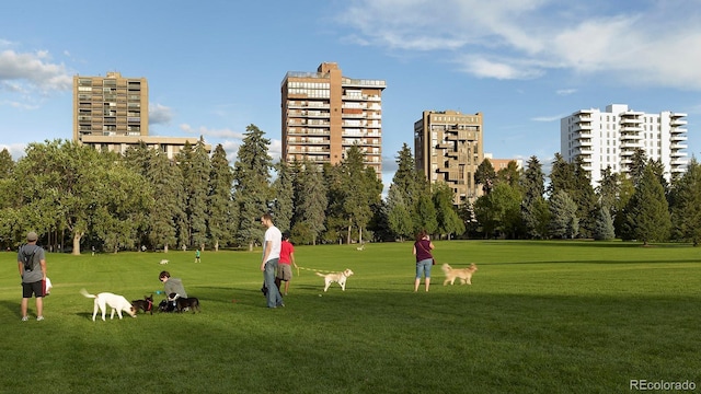 view of community with a lawn