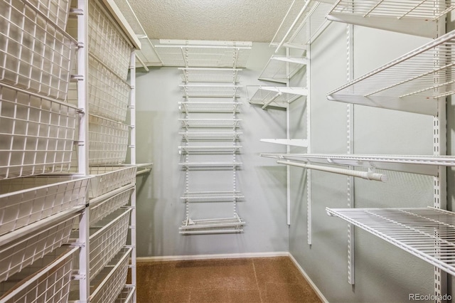 view of walk in closet