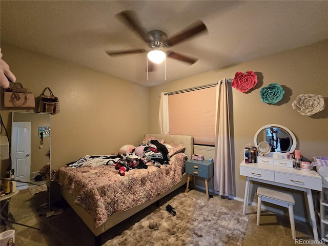 2311 Balsam Ave, Greeley, CO 80631 - photo 9