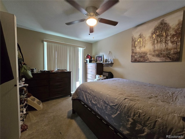 2311 Balsam Ave, Greeley, CO 80631 - photo 10