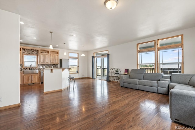 living room with dark hardwood / wood-style floors, a healthy amount of sunlight, and sink