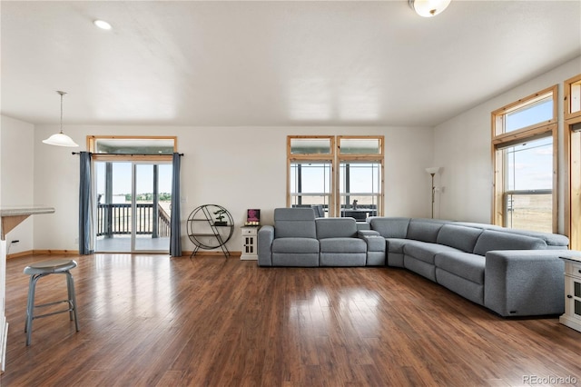 living room with dark wood-type flooring