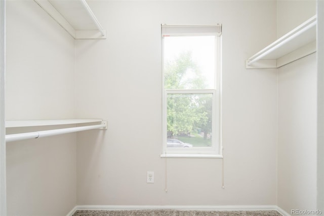 4760 S Wright Way, Morrison, CO 80465 - view of walk in closet
