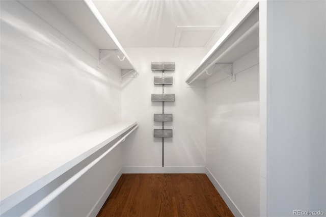 5586 Colorow Dr, Morrison, CO 80465 - spacious closet with dark wood finished floors