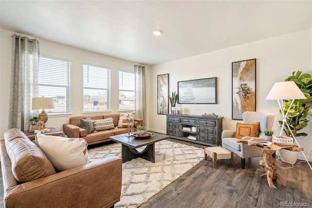 living room featuring hardwood / wood-style floors