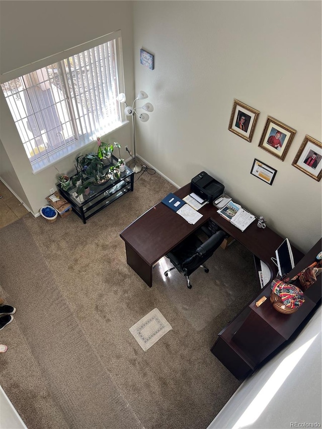 view of carpeted living room