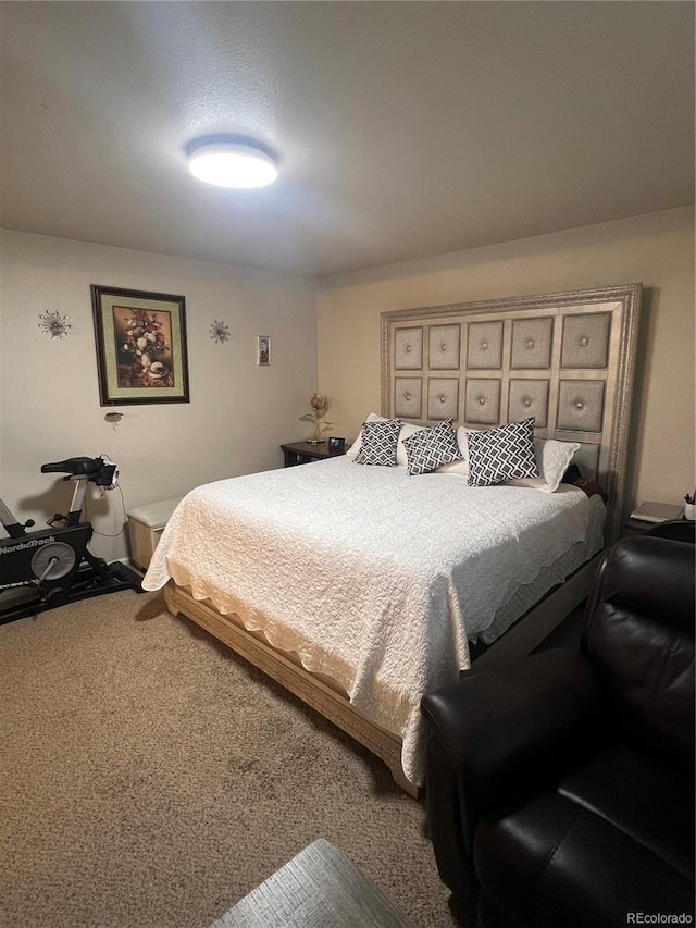 15171 E 118th Ave, Commerce City, CO 80603 - photo 18
