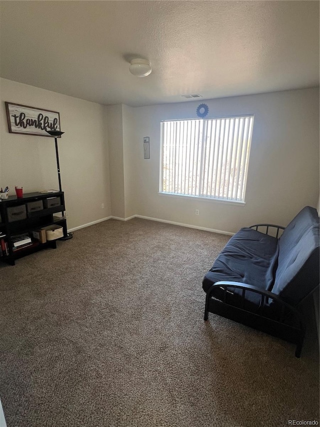 15171 E 118th Ave, Commerce City, CO 80603 - photo 26