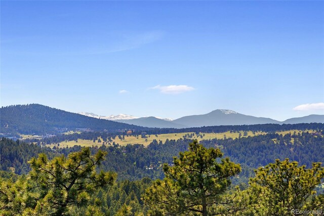 22598 Westview Ave, Golden, CO 80401 - photo 23