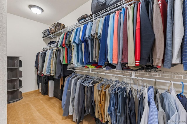 1474 Belford Ct, Evergreen, CO 80439 - spacious closet with carpet