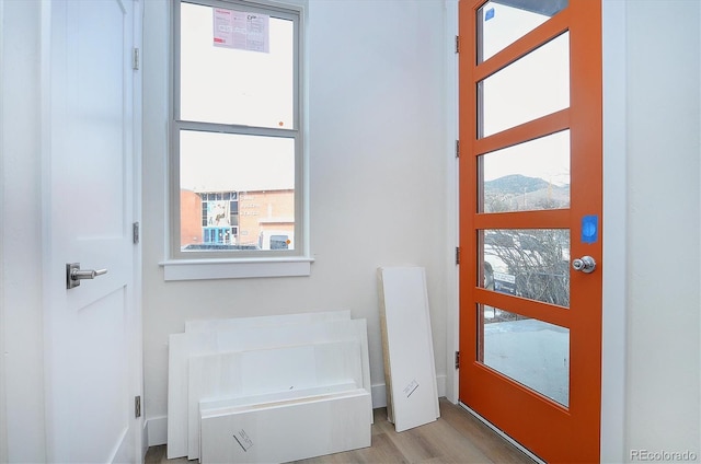 doorway to outside with light hardwood / wood-style floors