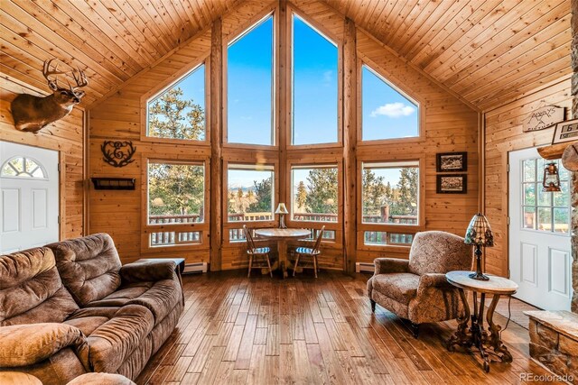 420 Shetland Cir, Como, CO 80432 - photo 9