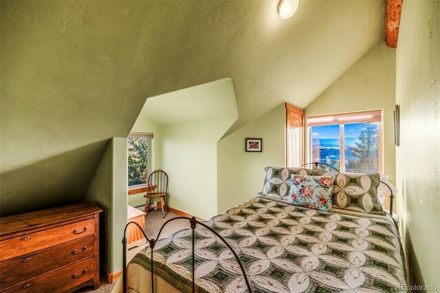 420 Shetland Cir, Como, CO 80432 - photo 25