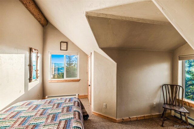 420 Shetland Cir, Como, CO 80432 - photo 26