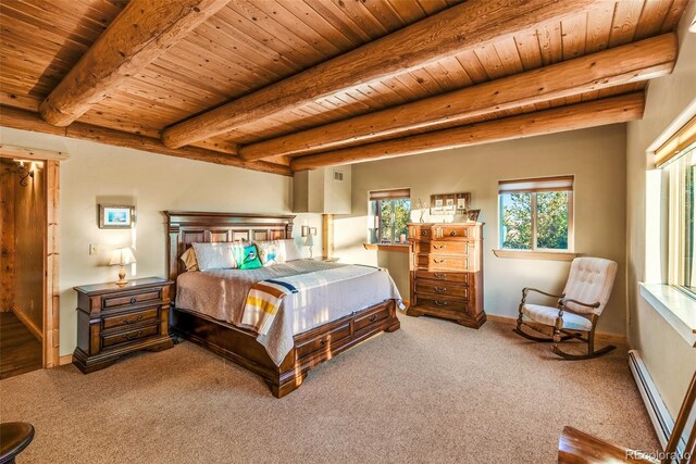 420 Shetland Cir, Como, CO 80432 - photo 28