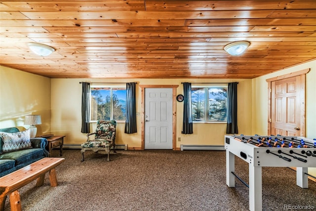 420 Shetland Cir, Como, CO 80432 - photo 35