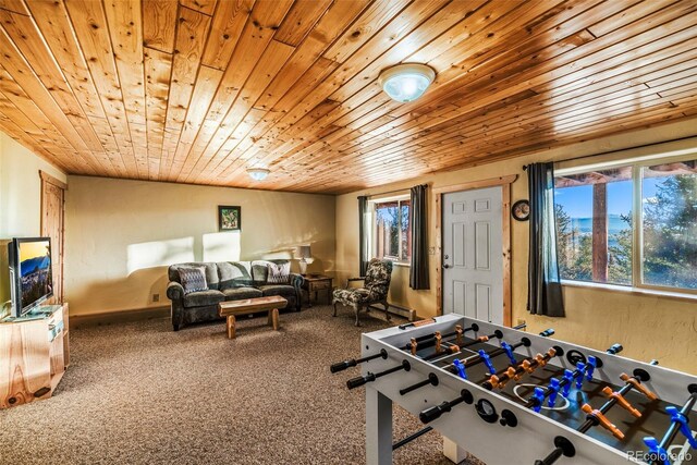 420 Shetland Cir, Como, CO 80432 - photo 36