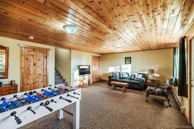 420 Shetland Cir, Como, CO 80432 - photo 37
