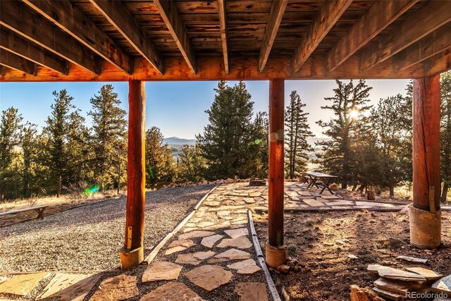 420 Shetland Cir, Como, CO 80432 - photo 41