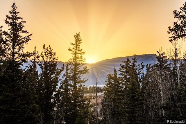 420 Shetland Cir, Como, CO 80432 - photo 44