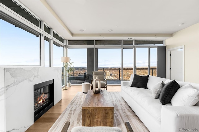 living room with light wood-style floors, a wealth of natural light, and a premium fireplace