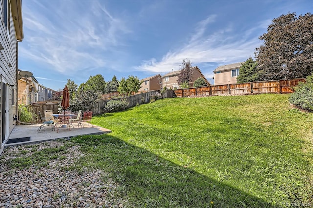 view of yard featuring a patio