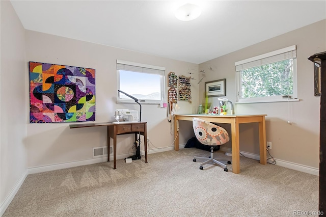 1615 Violet St, Golden, CO 80401 - carpeted office space with baseboards