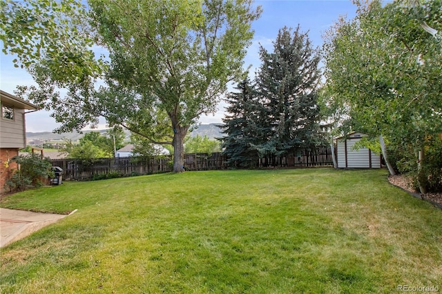 1615 Violet St, Golden, CO 80401 - fenced backyard with a storage unit