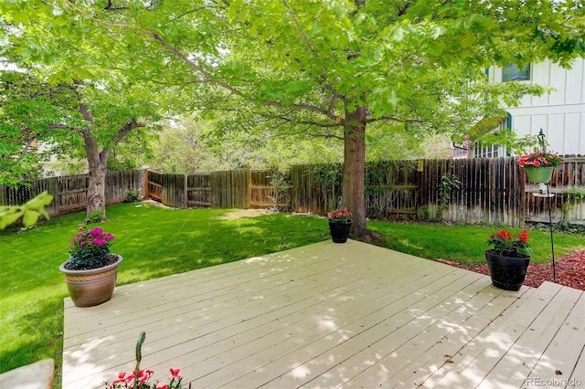 10966 W Half Moon Pass, Littleton, CO 80127 - view of wooden deck