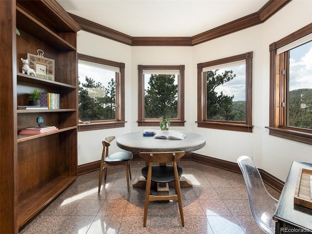1189 Rembrandt Rd, Boulder, CO 80302 - dining area with granite tiled floors, ornamental molding, and healthy amount of natural light