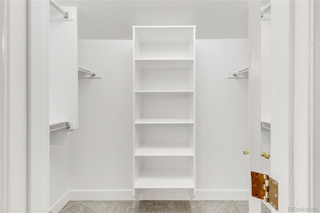 walk in closet featuring carpet flooring