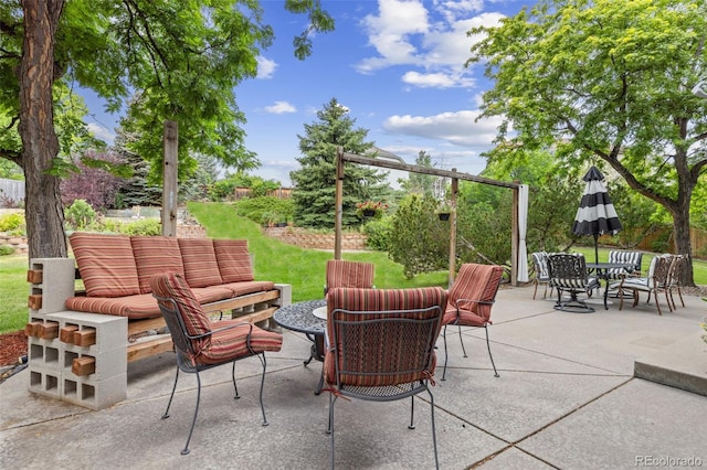 9817 Clairton Ln, Highlands Ranch, CO 80126 - photo 40