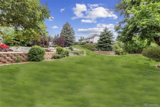 9817 Clairton Ln, Highlands Ranch, CO 80126 - photo 42