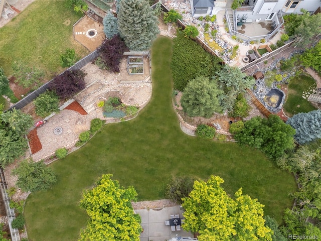 9817 Clairton Ln, Highlands Ranch, CO 80126 - photo 46