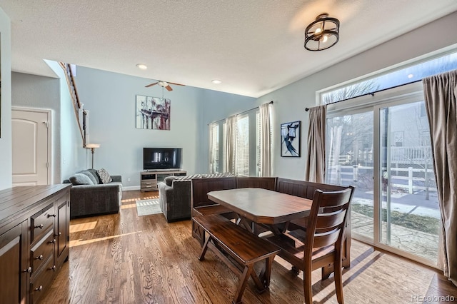 dining area with dark hardwood / wood-style flooring and plenty of natural light